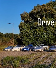 A row of cars parked under trees
