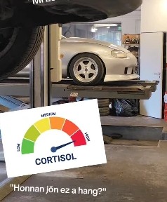 The MX-5 up on a lift